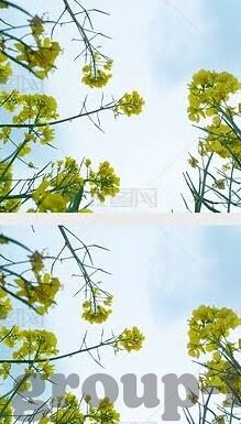 玉娇龙水果机遥控器-玉娇龙与水果机遥控器的奇妙邂逅